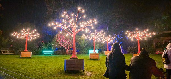 San Diego Botanic Garden - Lightscape 2025